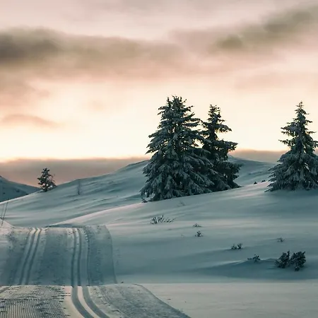 Rondane Hoyfjellshotell リゾート 3*
