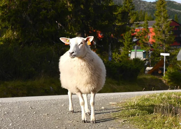 Курортный комплекс Rondane Hoyfjellshotell