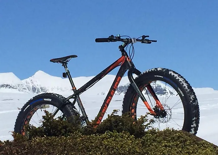 Rondane Hoyfjellshotell 3*