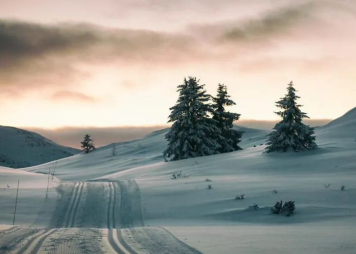 Rondane Hoyfjellshotell Курортный комплекс 3*