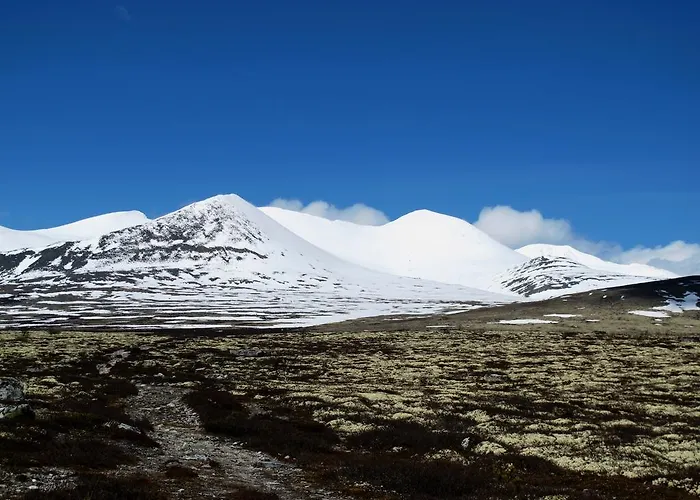 Rondane Hoyfjellshotell Курортный комплекс