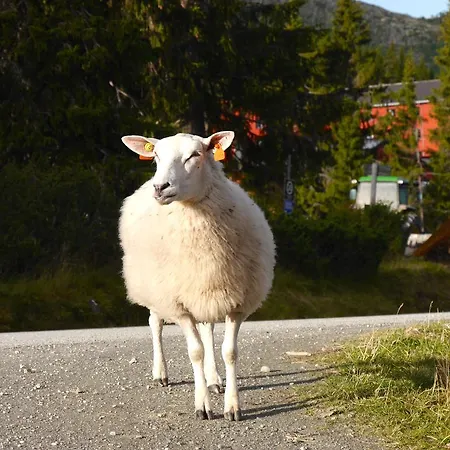 Θέρετρο Rondane Hoyfjellshotell