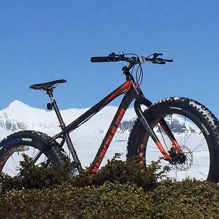 Rondane Hoyfjellshotell 3*