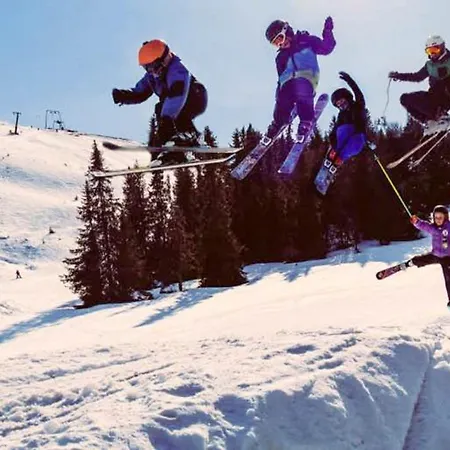 Θέρετρο Rondane Hoyfjellshotell